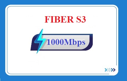 FiberS3