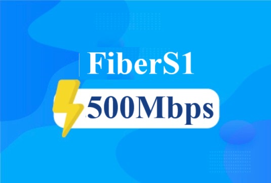 FiberS1